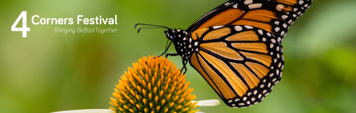 Home Ground - Stories from Knockbreda Community Wildlife Garden