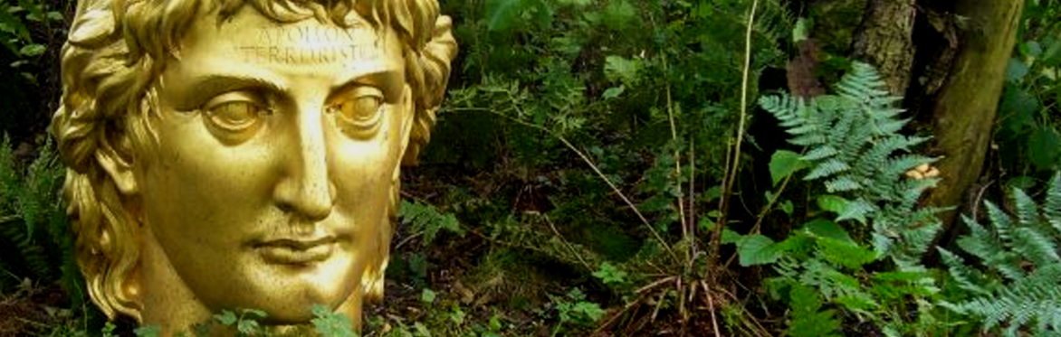 A photo of a golden head of the god Apollo, set on the ground in a woodland.