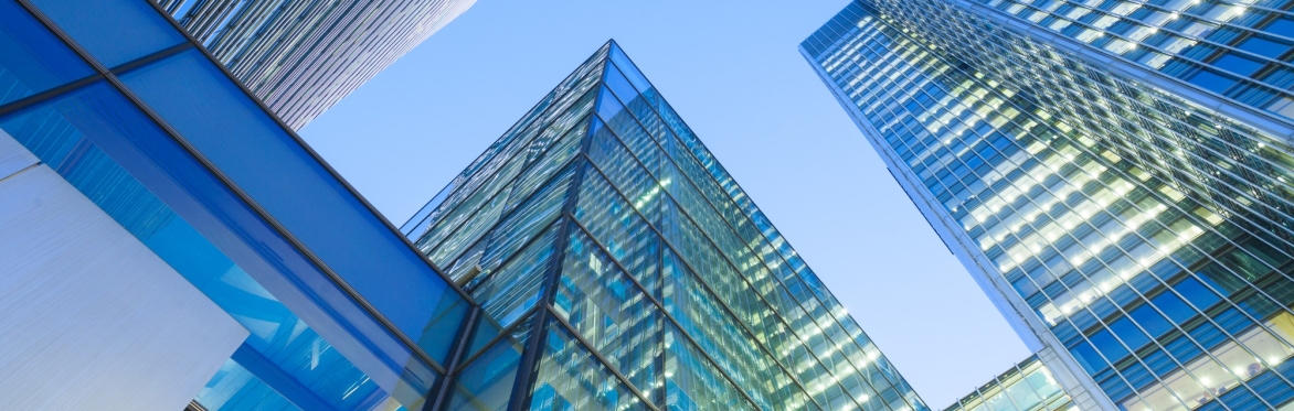 New Model for Organisational Resilience | Virtual Preview