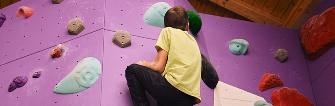 Arrampicata in palestra