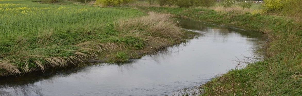 Mid-week morning Walk : New Downs Pools (Sandwich Bay)