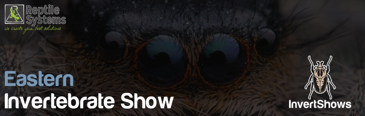 Eastern Invertebrate Show