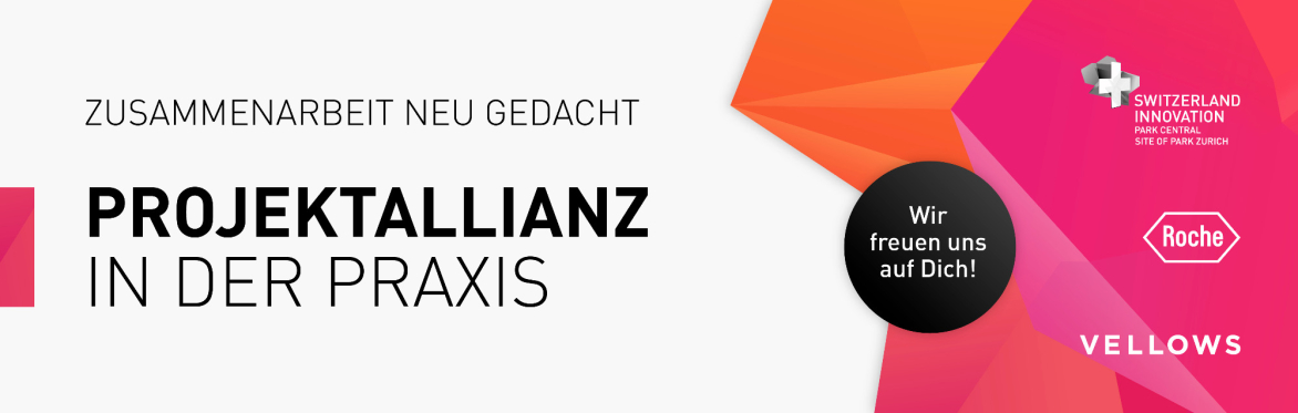 Projektallianz in der Praxis - Zusammenarbeit neu gedacht