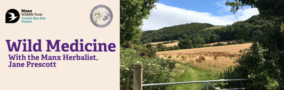 Wild medicine with the Manx Herbalist, Jane Prescott