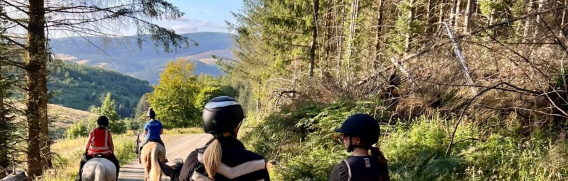 Horse Riding Peebles (Intermediate-Advanced)
