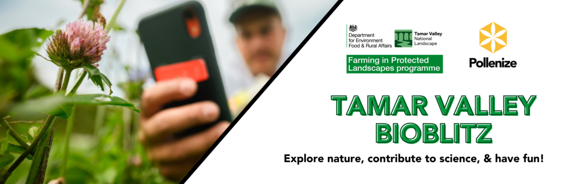 TAMAR VALLEY CENTRE BIOBLITZ