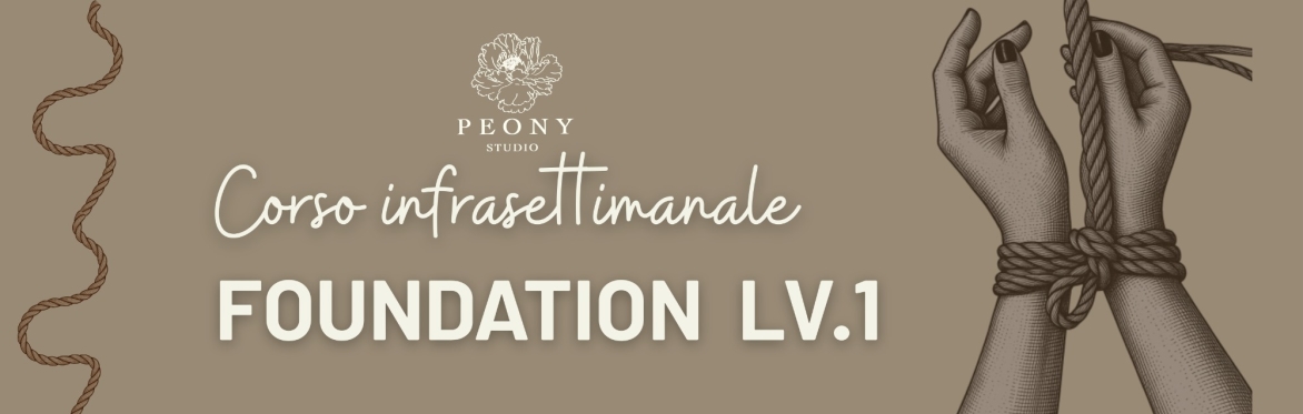 Foundation Lv.1