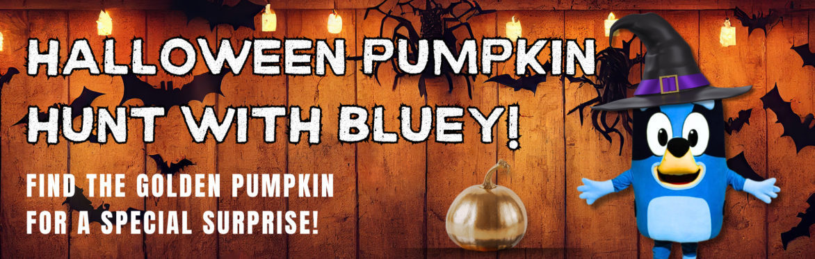 Halloween Pumpkin Hunt with Bluey!