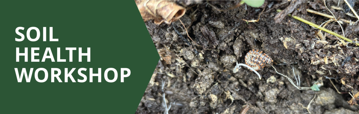 Soil Health Workshop