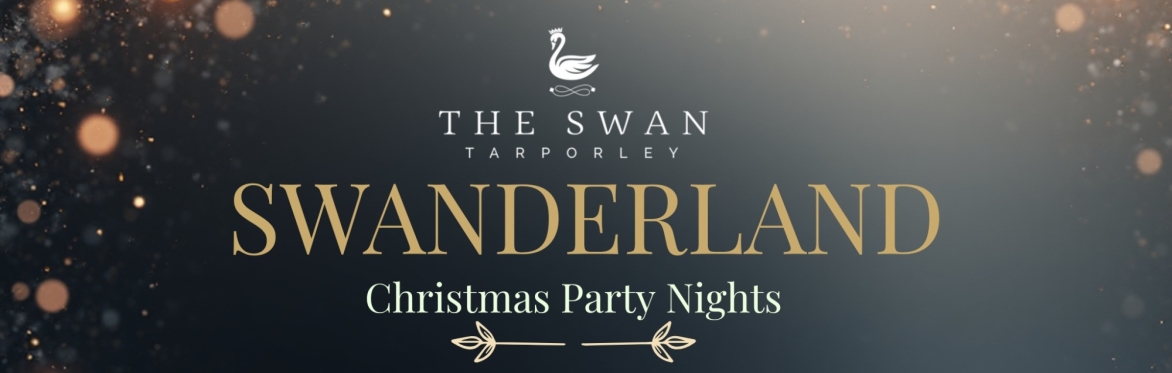 Swanderland - Christmas Party Night