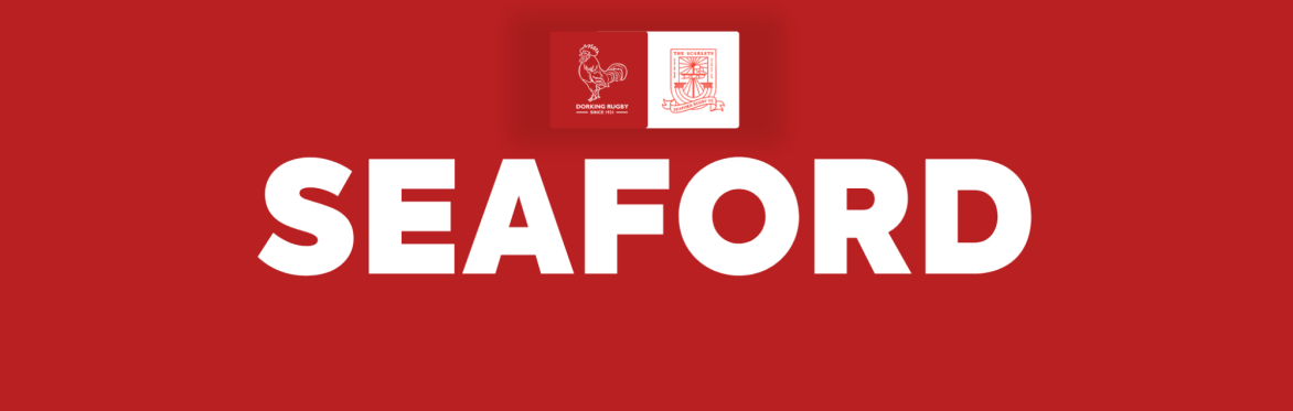 Dorking vs Seaford (NC 1)