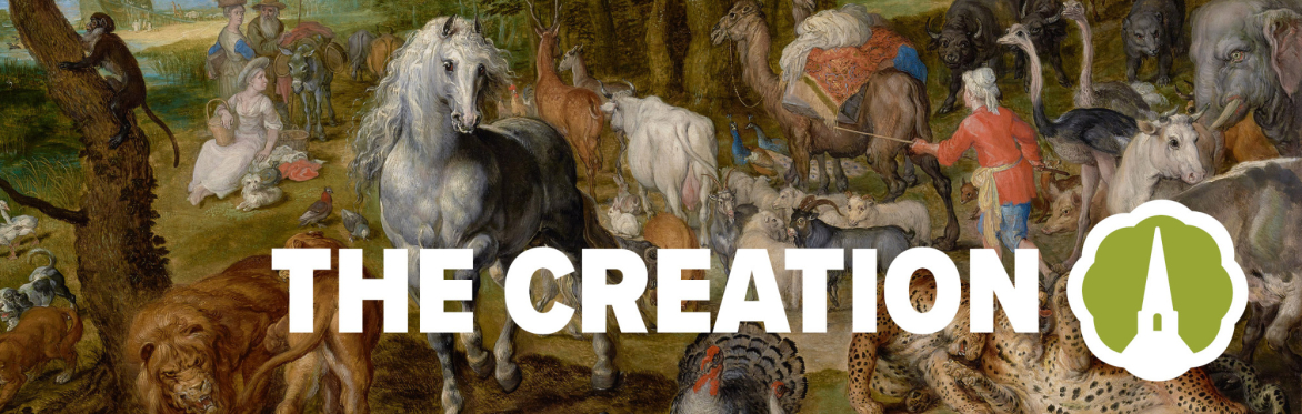 Haydn The Creation