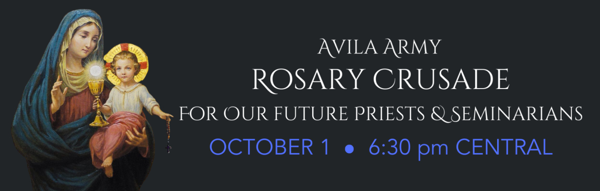 Rosary Crusade ~ For Our Future Priests and Seminarians