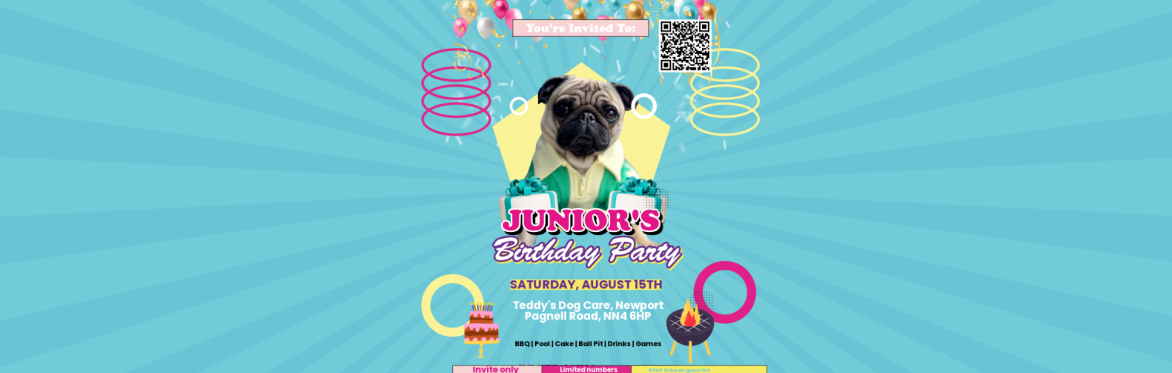 Junior's 3rd Birthday Party!