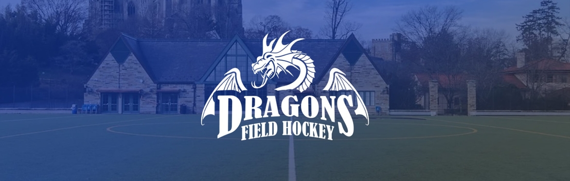 DC Dragons Spring Outdoor Pickup 🏑