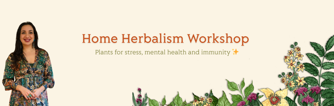 Home Herbalism - Plants for stress, mental health and immunity ✨ UK Date