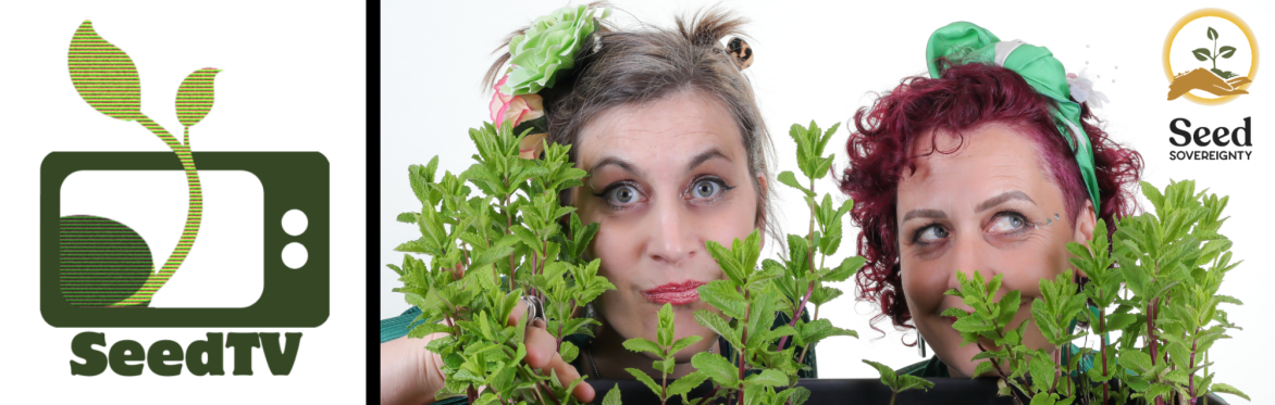 SeedTV - Exploring Medicinal Seeds with the Seed Sistas