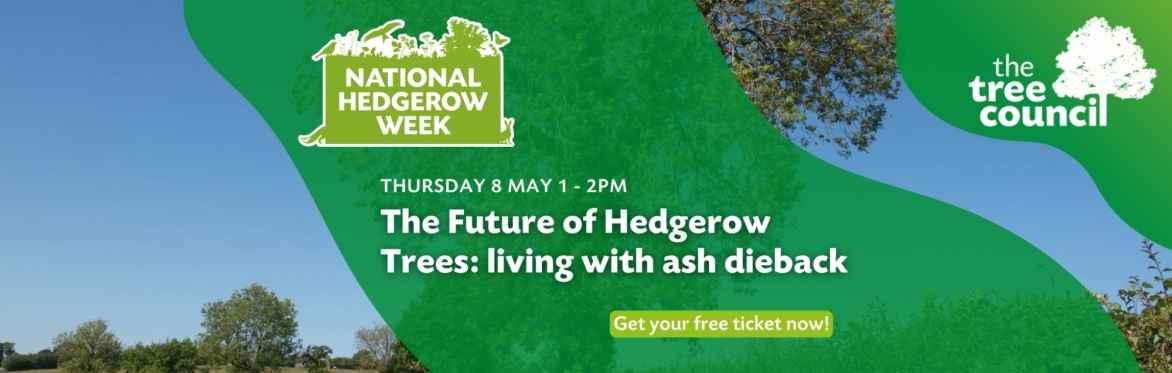 The Future of Hedgerow Trees: living with ash dieback