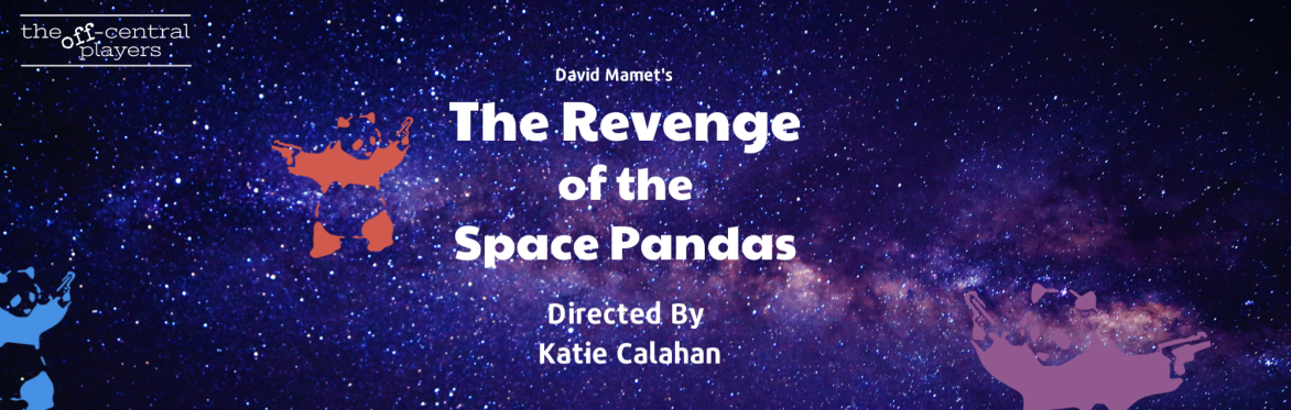 REVENGE OF THE SPACE PANDAS