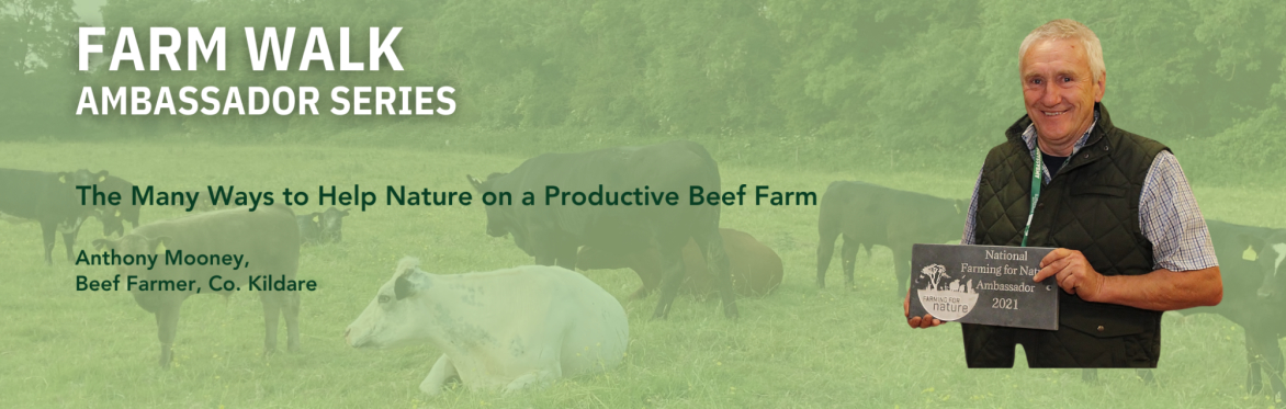 Farming For Nature walk with Anthony Mooney - June (Co. Kildare)