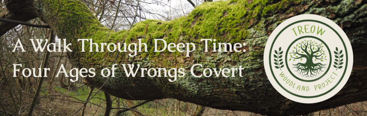 A Walk Through Deep Time: Four Ages of Wrongs Covert