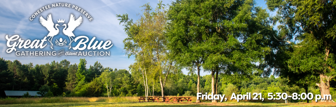 The Great Blue Gathering at Conestee Nature Preserve