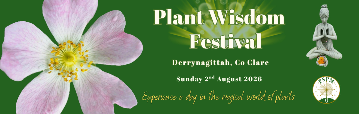 Poster for the Plant Wisdom FESTIVAL on Sunday, August 2, 2026
