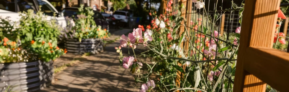 Nostrana Garden