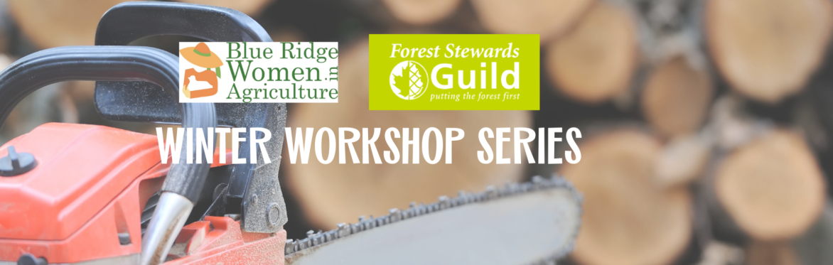 Women's Chainsaw Operation Workshop