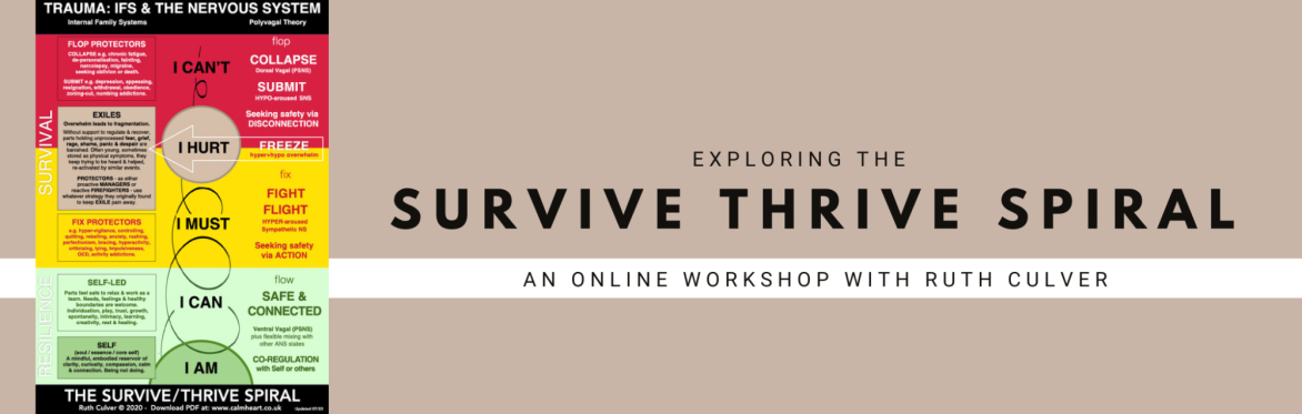 EXPLORING The Survive/Thrive Spiral