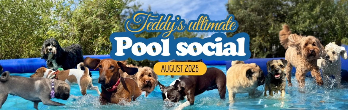 The Ultimate Doggy Pool Party & Foam Party