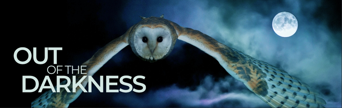 Out Of The Darkness