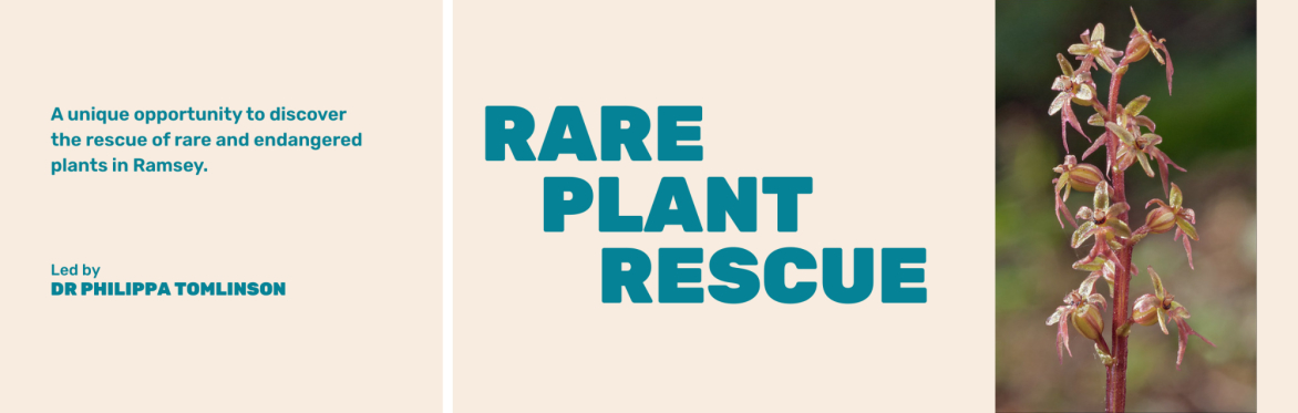 Rare Plant Rescue in Ramsey led by Dr Philippa Tomlinson