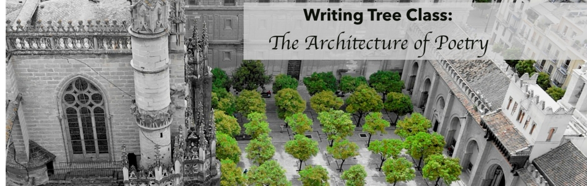 orderly rows of trees growing in a church quadrangle and the text 'writing tree class: the architecture of poetry