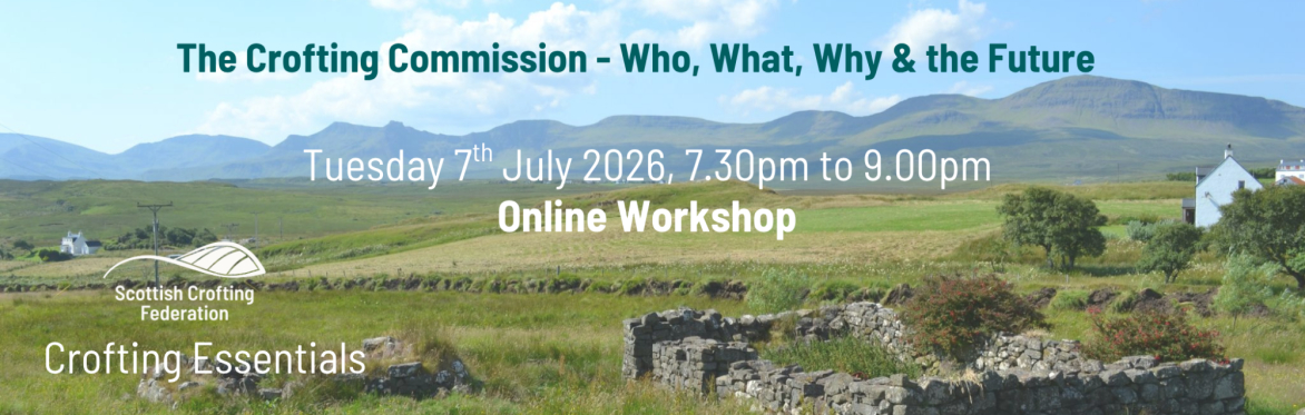 Advertisement for online workshop