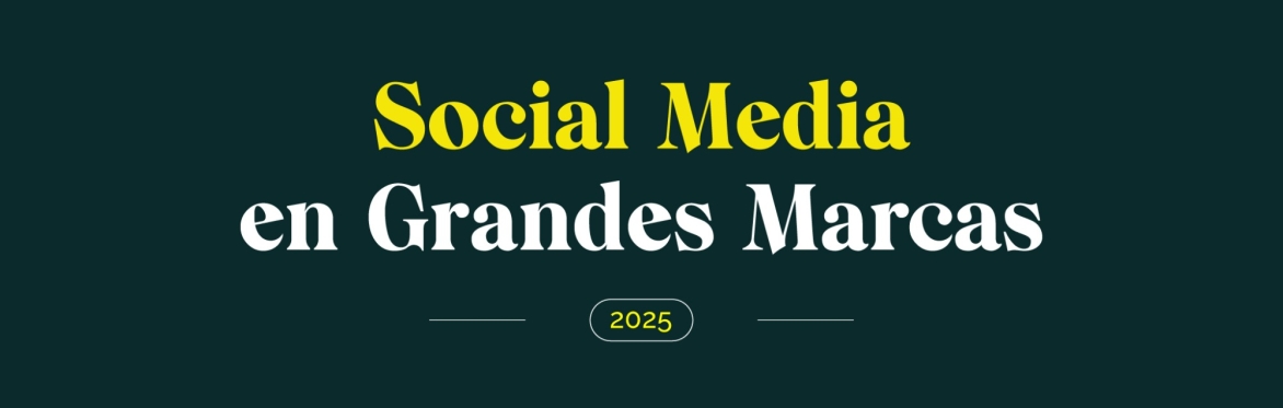 Social Media en Grandes Marcas 2025