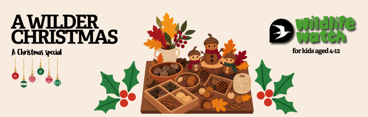 A Wilder Christmas - Watch Event