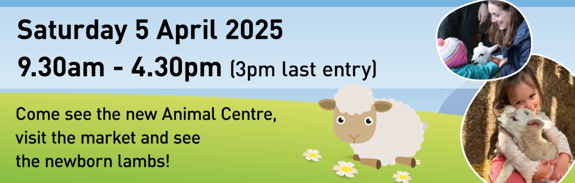 banner image showing the date and time of the event
