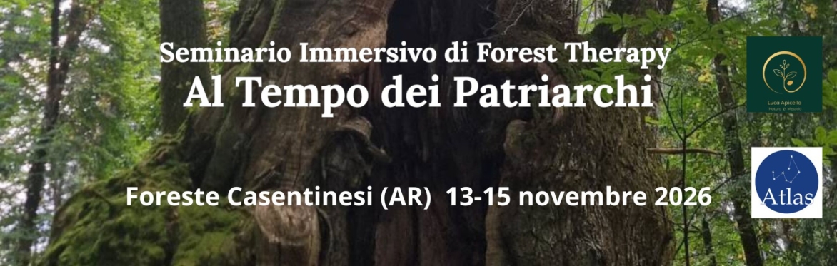 Corso di cristalloterapia 2026-27 a Roma