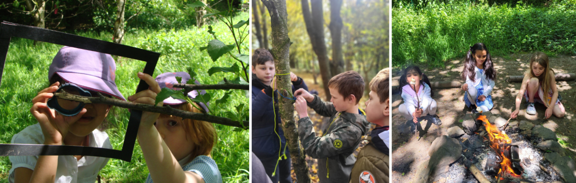HAF Summer Holiday Club (ages 5-14) Forest School