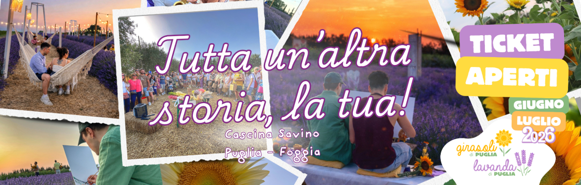 Girasoli da bouquet (colorati) 🌻 e Lavanda🪻di Puglia 26'- Ticket aperto con degustazioni 🧺🍷 al tramonto*🌅