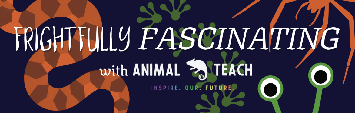 Frightfully Fascinating Workshop with Animal Teach