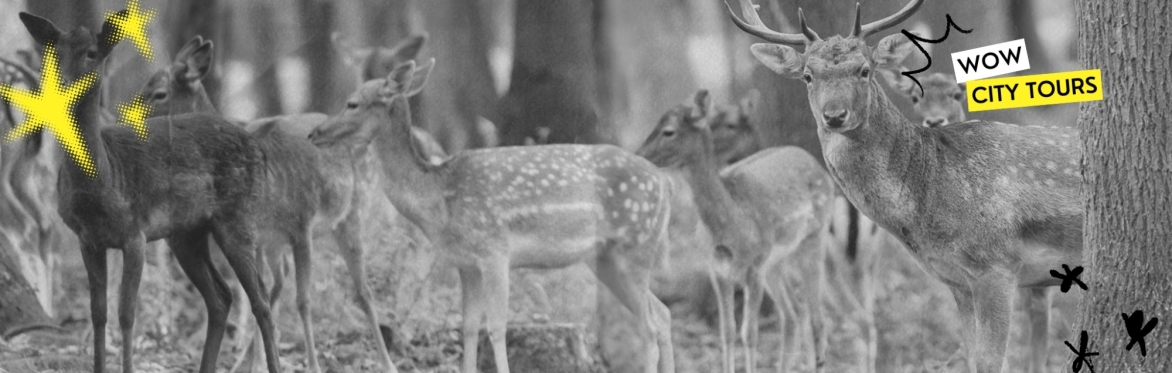 WCT. Wildpark Rheingönheim. Ein tierisches Erlebnis