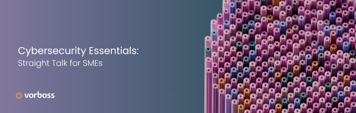Cybersecurity Essentials: Straight Talk for SMEs