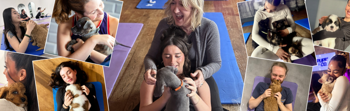 Puppy Yoga