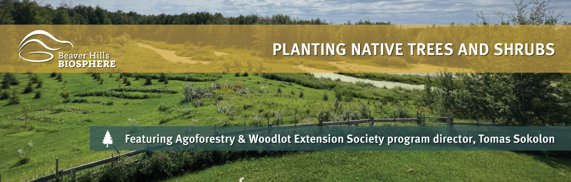 Attend the Planting Trees and Shrubs workshop hosted by Beaver Hills Biosphere on October 3, 2024