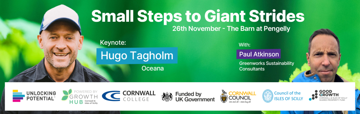 Small Steps to Giant Strides