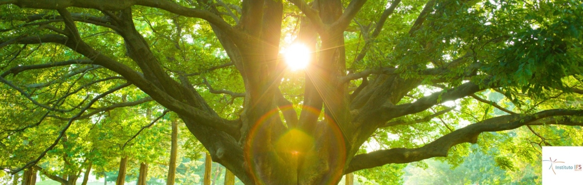 Encuentro IFS & Espiritualidad