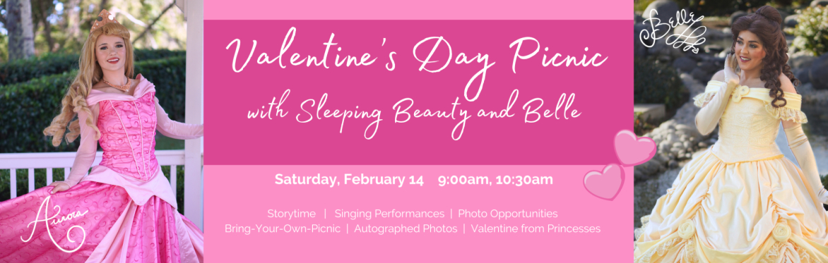 Valentine's Day Picnic with Sleeping Beauty - The Storybook Character Company