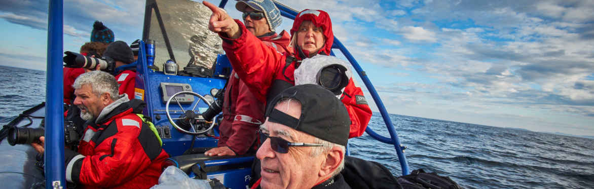 Friday Evening Boat Tour – Sea of Whales